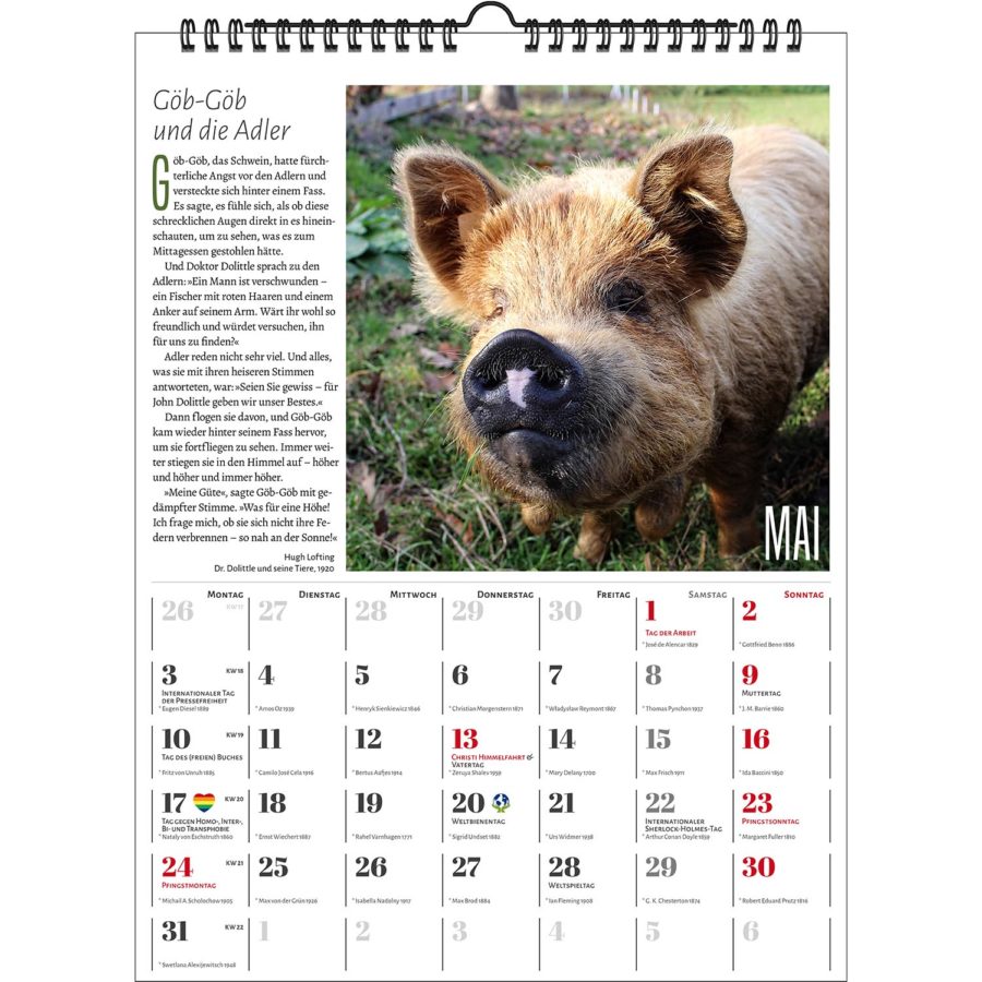 Der Literarische Schweinekalender 2021 | homunculus verlag