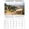 Literarischer Schweinekalender 2022