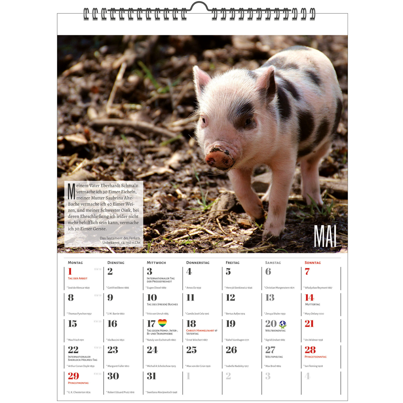 Der literarische Schweine-Kalender 2024 – homunculus verlag